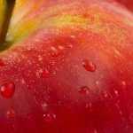 Food Chain and Food Pantries During Coronavirus (COVID-19)
