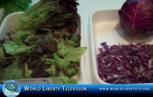 Lettuce 101: Vegetables in Dole Salad Luncheon Presentation – 2011