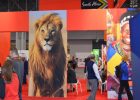 14th Annual New York Times Travel Show at NY Javit Center-2017
