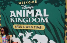 Disney’s Animal Kingdom at Orlando Florida-2017