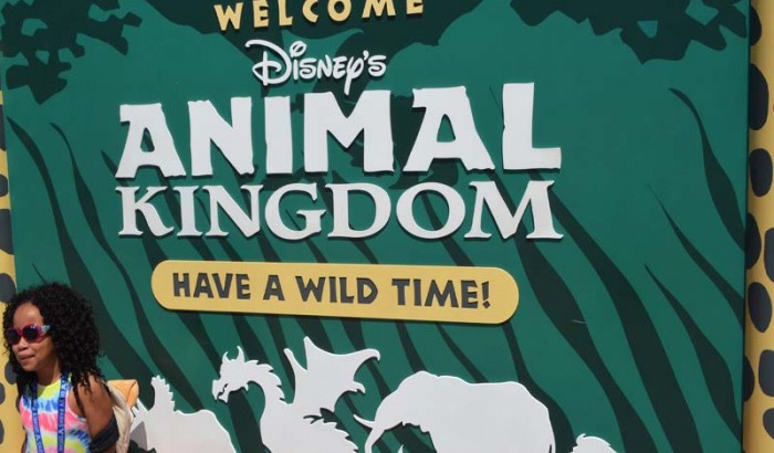 Disney’s Animal Kingdom at Orlando Florida-2017