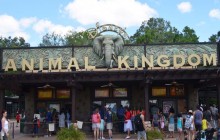 Disney’s Safari  Park at Animal Kingdom Orlando Florida-2017