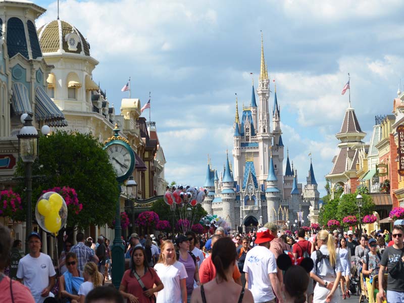 Attendee's at Disney parks Florida 