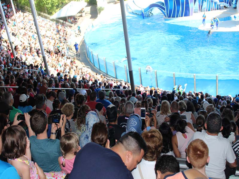 People at seaworld 