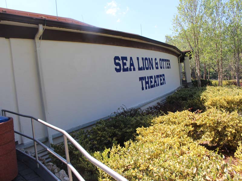 Sea lion Shows at Seaworld