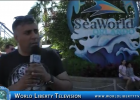 Seaworld  Orlando Florida,Dolphin Sea lion & Whales Show-2018