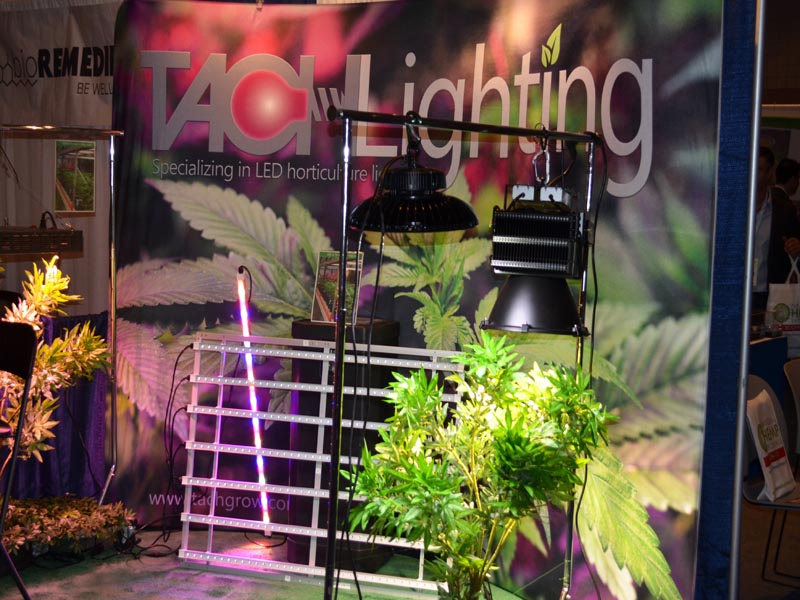 LED Lights Ffor Growing Cannabis