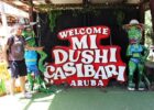 Aruba Southern Caribbean Tour May 2026